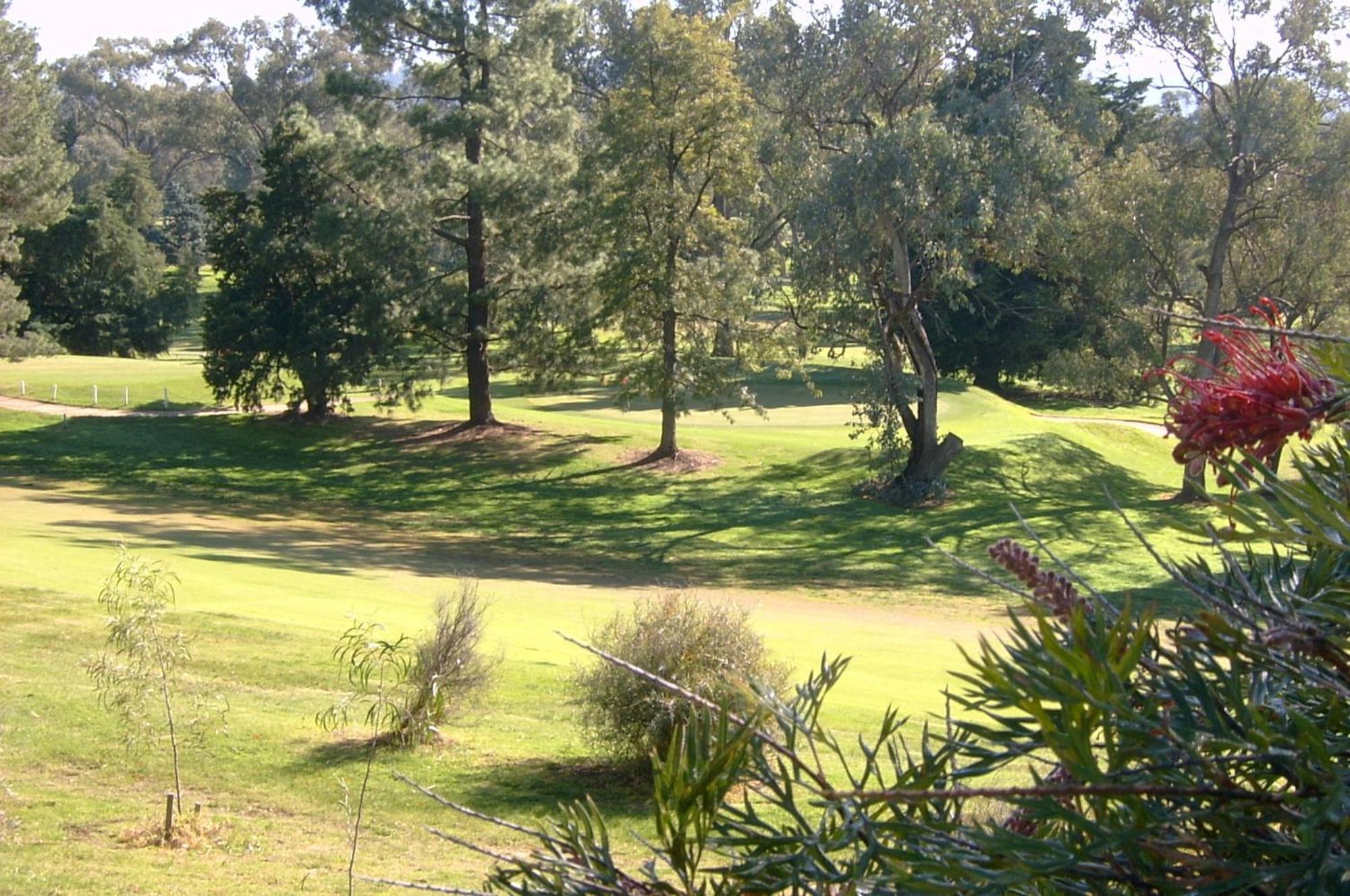 Commercial Golf Resort Albury Kültér fotó